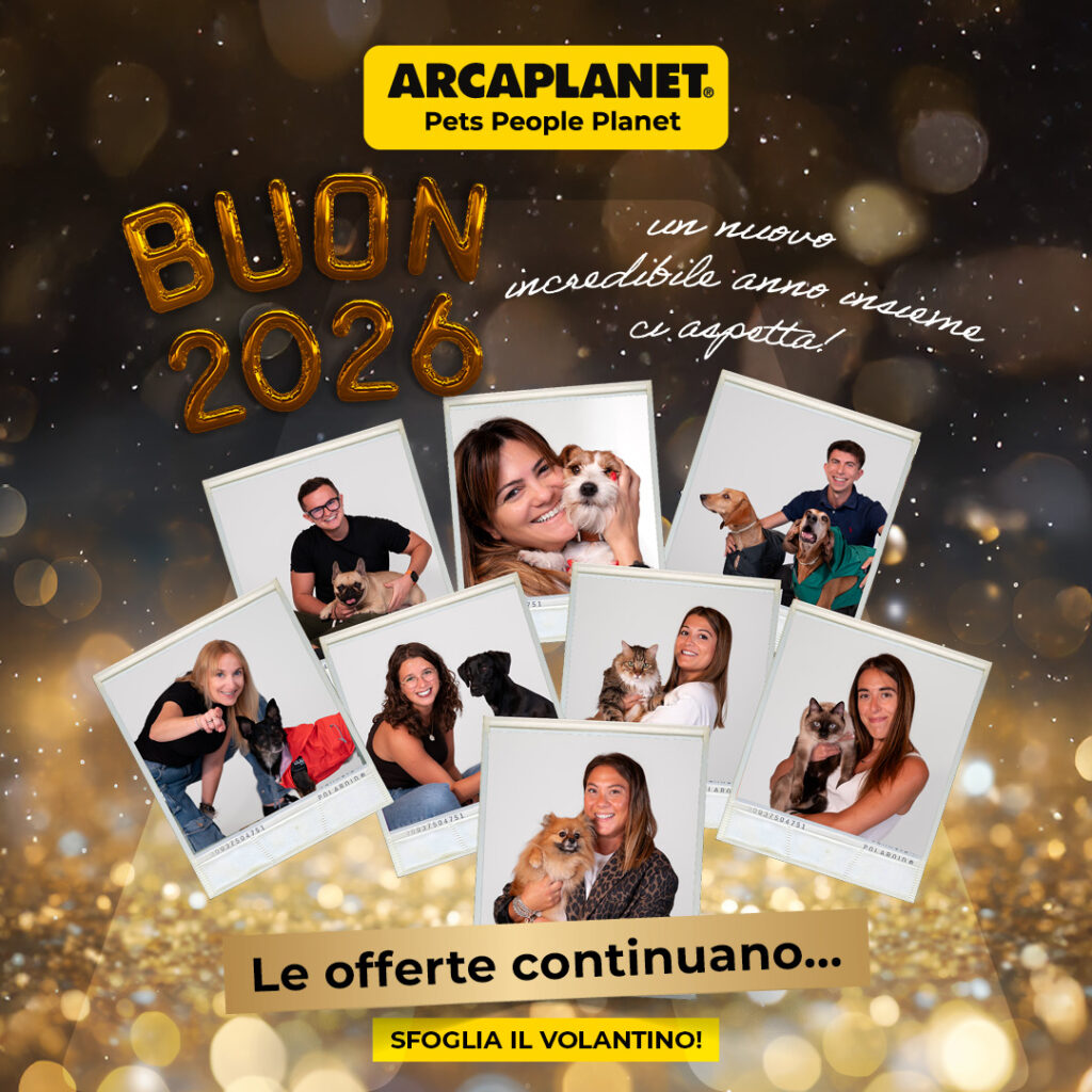 Arcaplanet, promozione, saldi